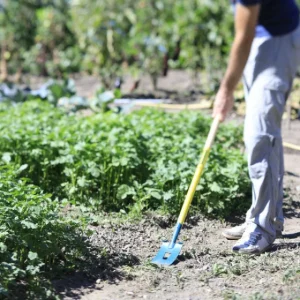 De gros ? RATISSOIRE DE JARDIN NATUROVERT LEBORGNE – 467081 ❤️ 10